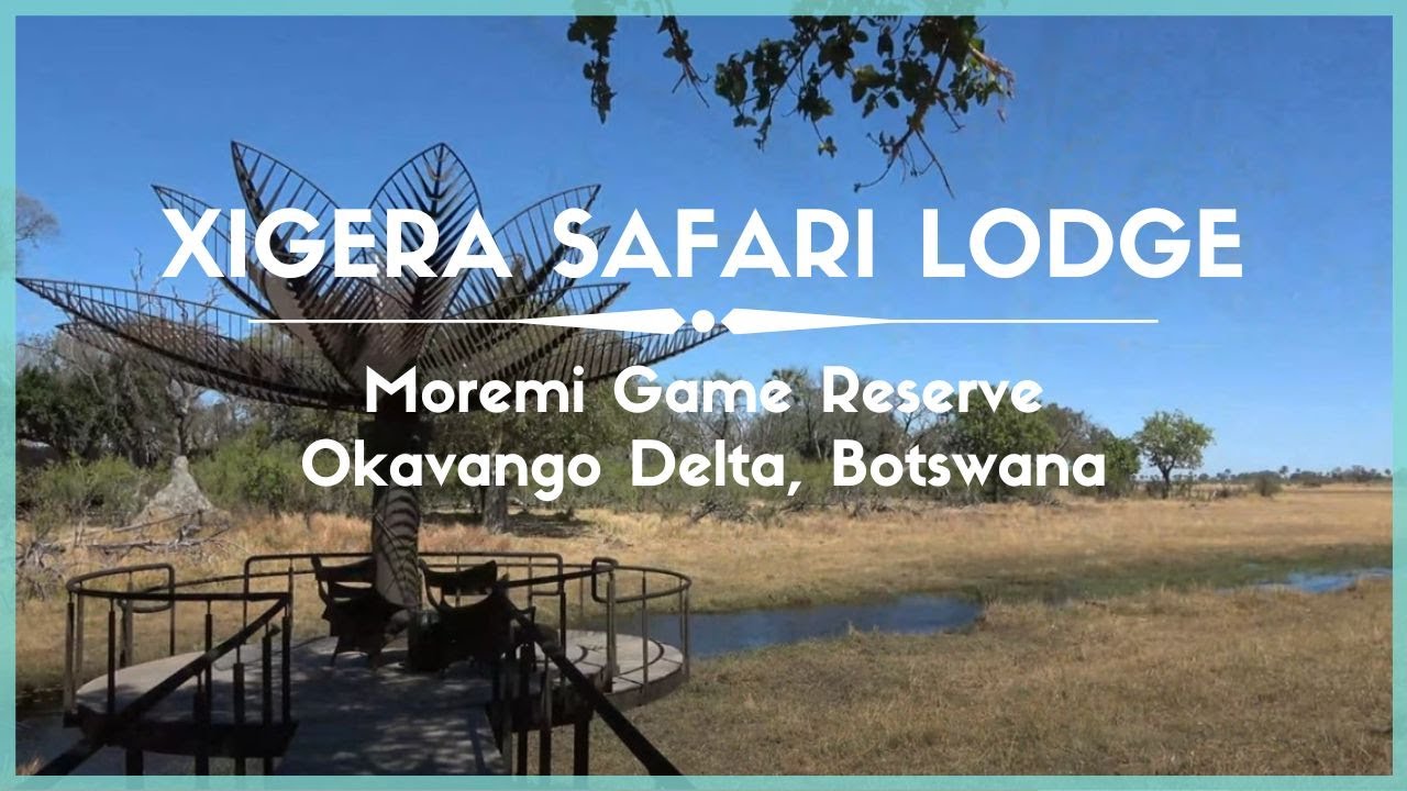 Celestielle #402 Xigera Safari Lodge, Moremi Game Reserve, Okavango Delta, Botswana