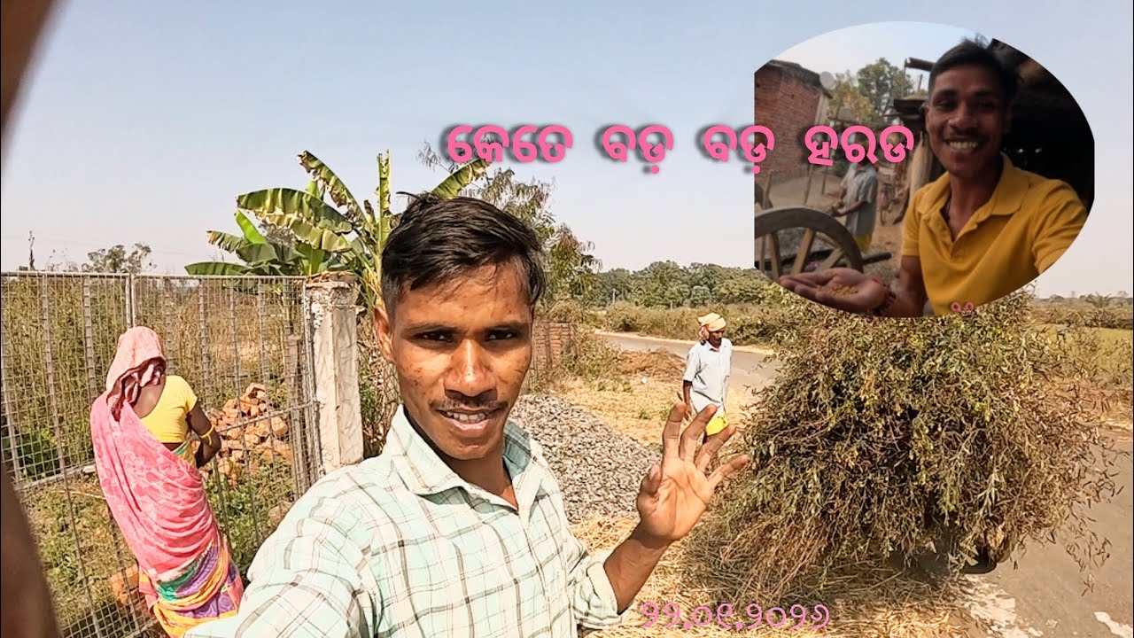 କେତେ ବଡ଼ବଡ଼ ହରଡ ଆମର 😲