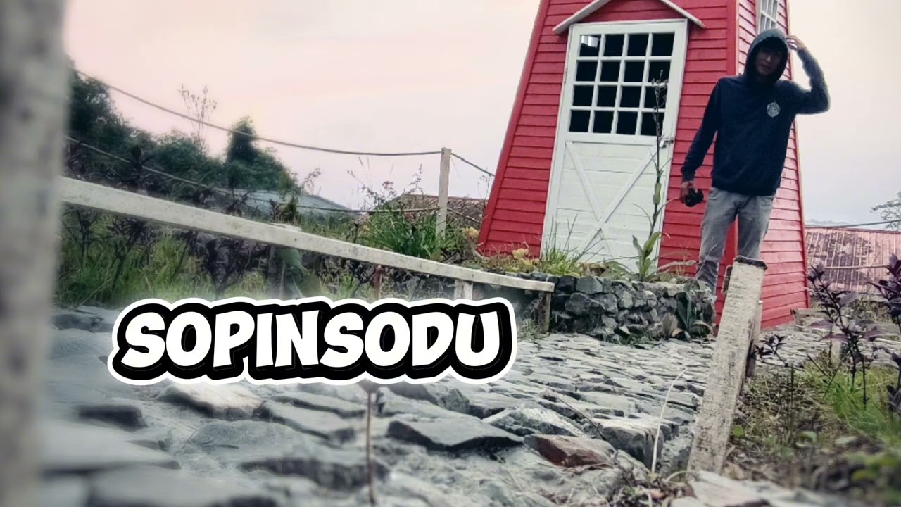 Sopinsodu