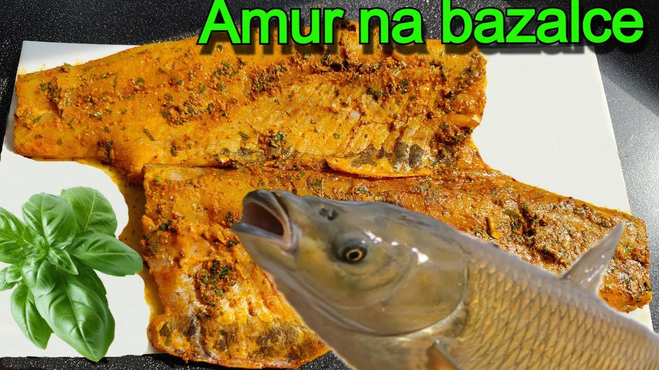 LETNÍ RECEPT AMURA a jak jsem ho chytil...?