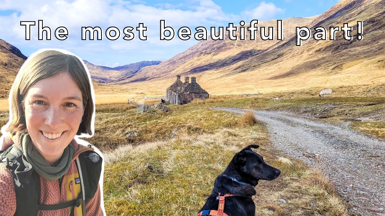 Thru-Hiking the West Highland Way with my Dog: Glencoe to Fort William | Wind, Sun and the END