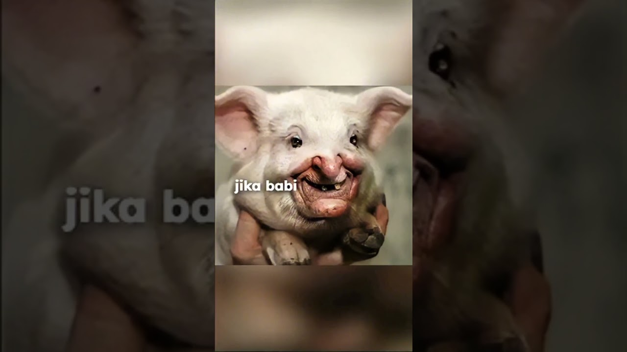 BABI NGEPET,#horror #ceritahoror #horrorstories #shortvideo #shortvideo #babingepet #mistis