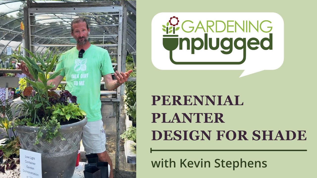 Gardening Unplugged - How to design a perennial shade planter for zone 7b/8a with Kevin Stephens
