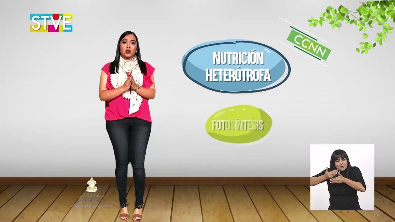¿Qué comen las plantas, de qué se alimentan los animales? #1, 8º Ciencias Naturales con LESHO