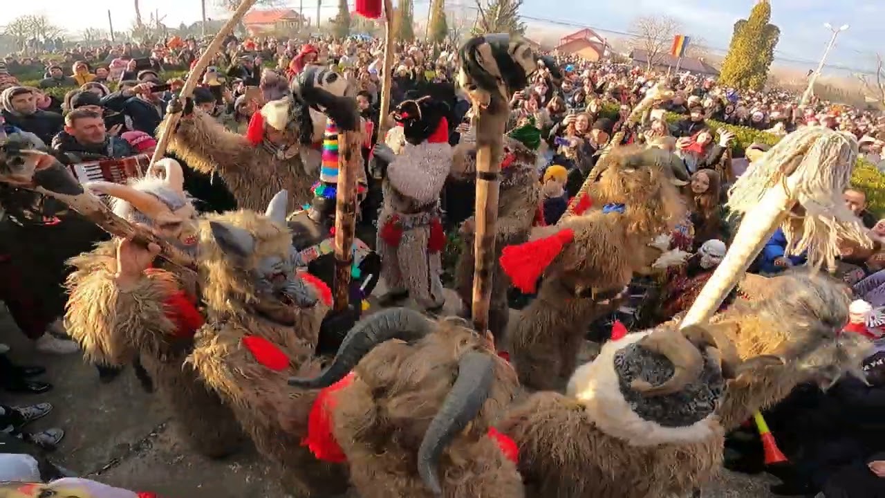 Urșii din Moimesti 2023