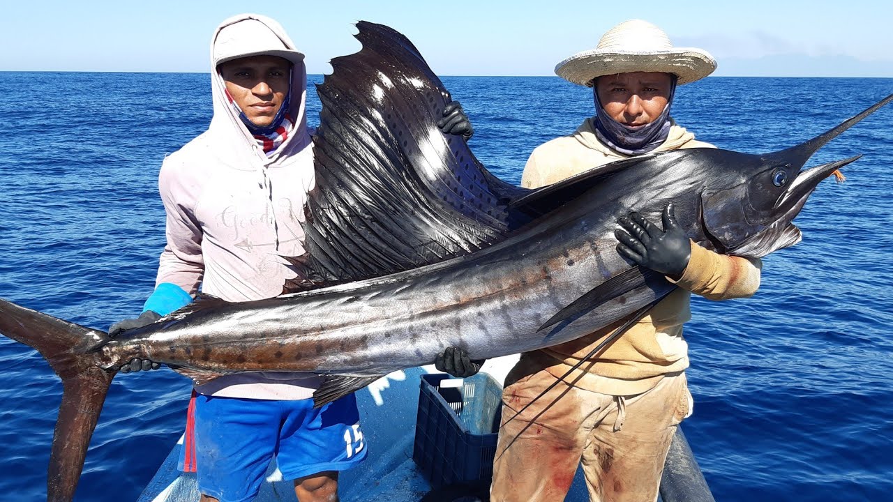 El video de PESCA DE PEZ VELA más emocionante que podrás ver