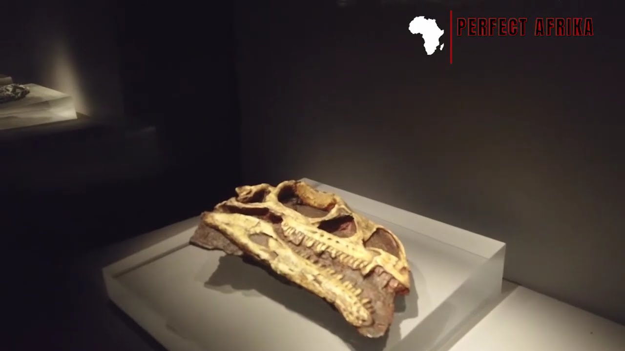 The Untold Truth About Freedom Park Museum in Pretoria!