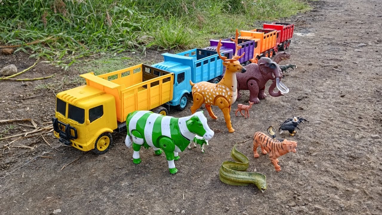 Mantul‼️ Angkut Sapi Belang Mammoth T-Rez Harimau Ular Laba Laba Rusa dengan Truk Oleng