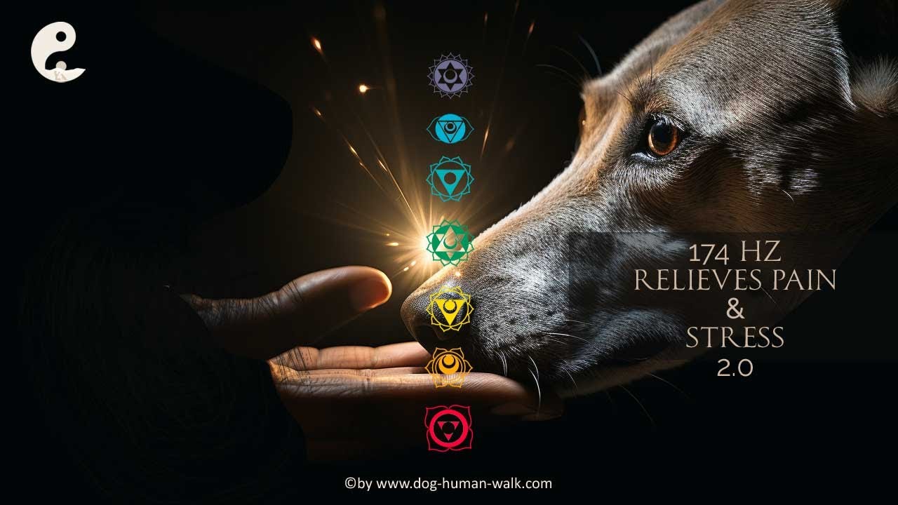 F&uuml;r Hunde Schmerzlinderung & Stressabbau mit 174 Hz Entspannungsmusik und Meditation 2.0