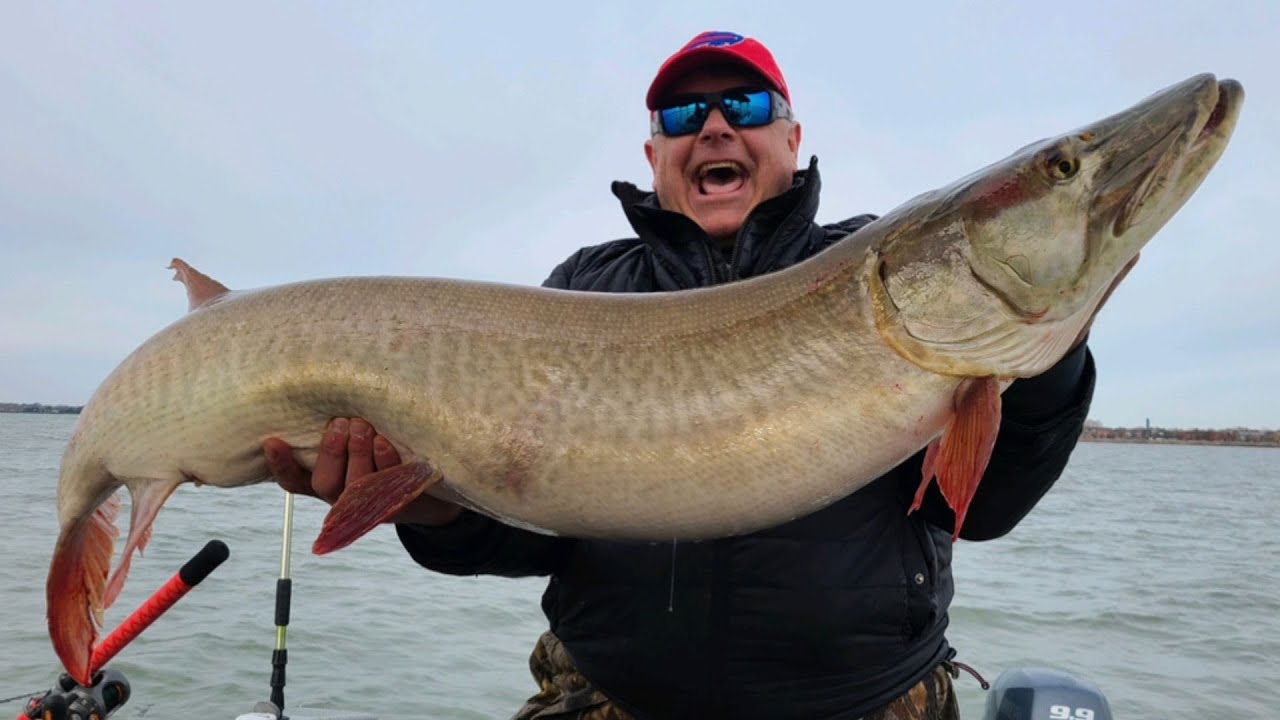 Another Giant Lake Erie Muskie!