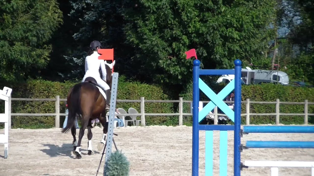 première club 1 trotteur de 5 ans