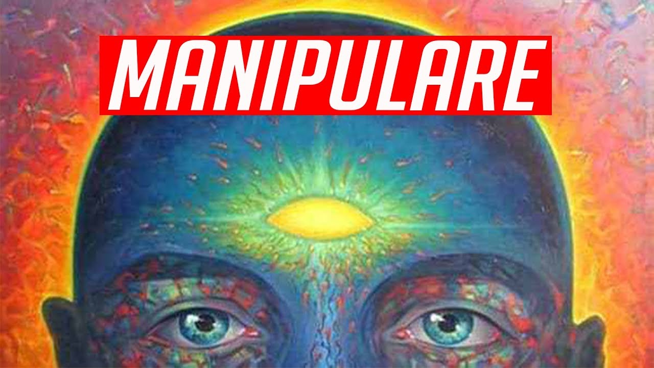 TACTICA DE MANIPULARE - CUM SA FACI SA TE PLACA LUMEA - DEZVOLTARE PERSONALA