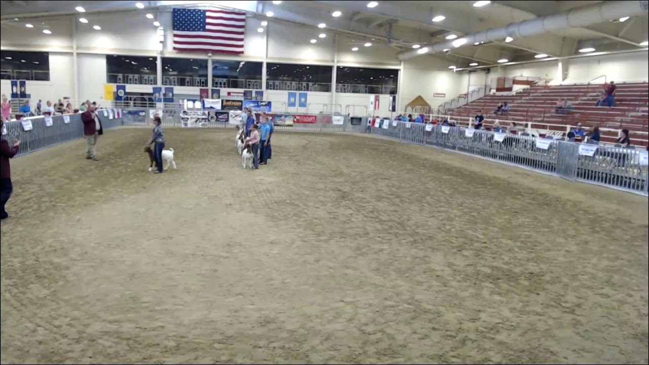 American Boer Goat Association