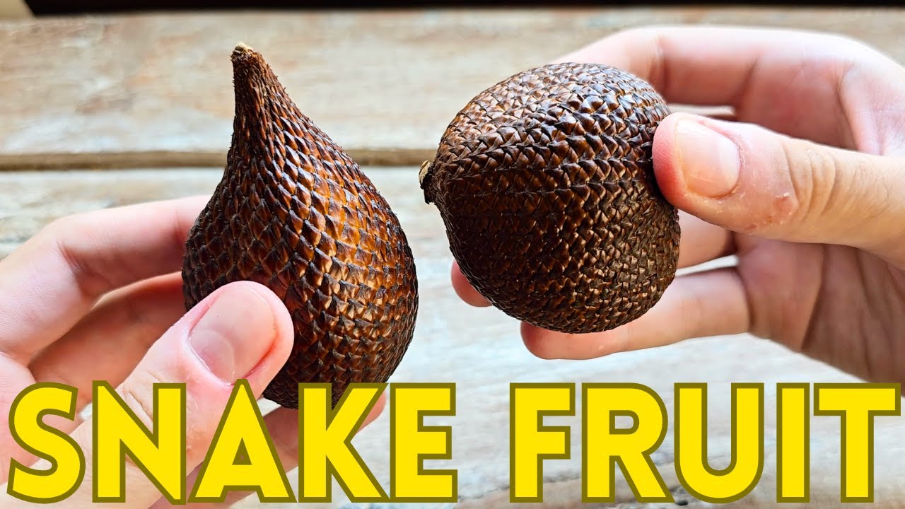 Trying Indonesian Snake Fruit (Salak) in Bali