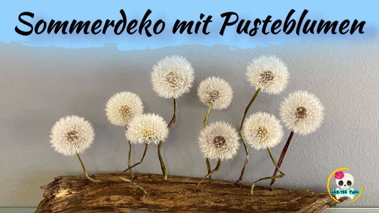 Pusteblumen haltbar machen / konservieren | Sommerdeko mit Pusteblumen