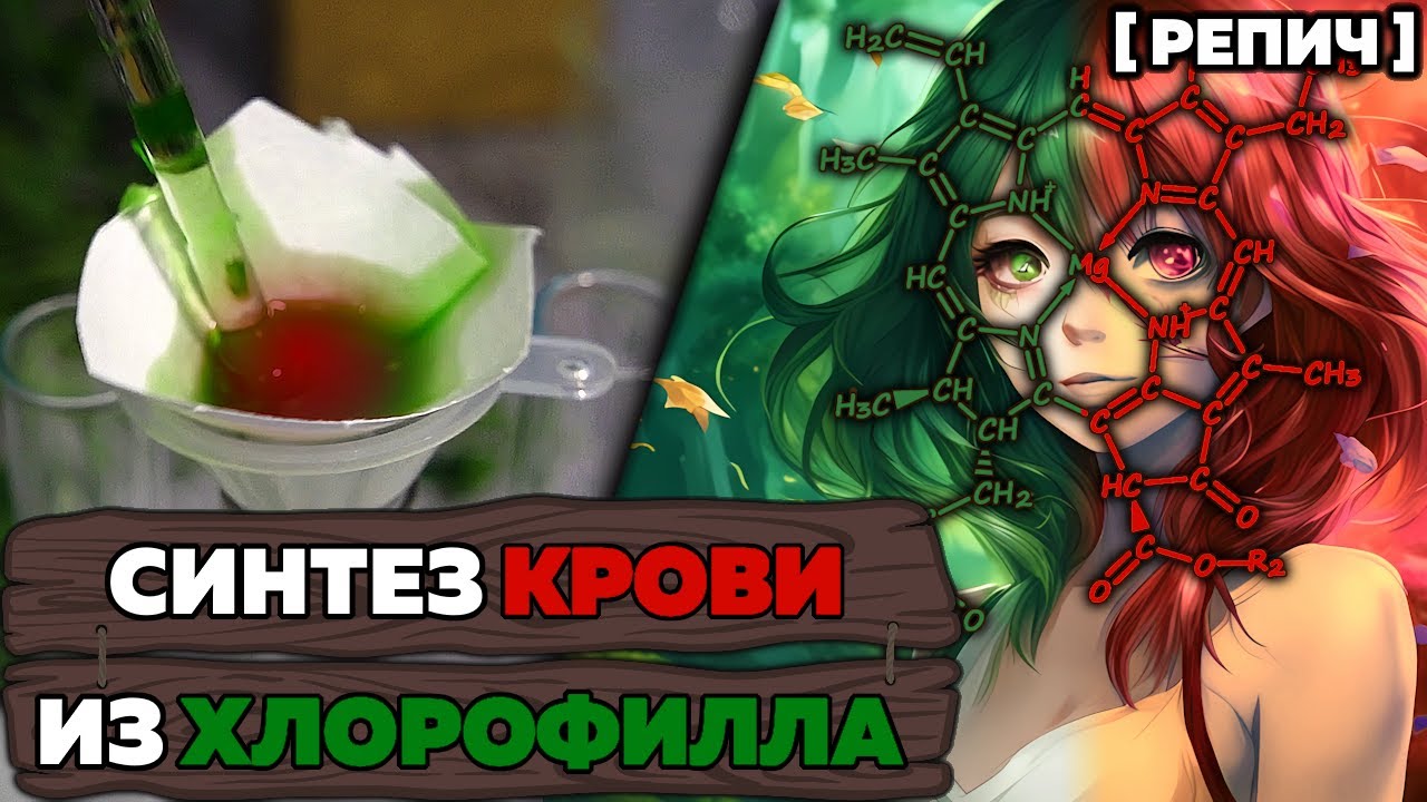 Почему растения ЗЕЛЁНЫЕ – отвечает ХИМИК 🧪