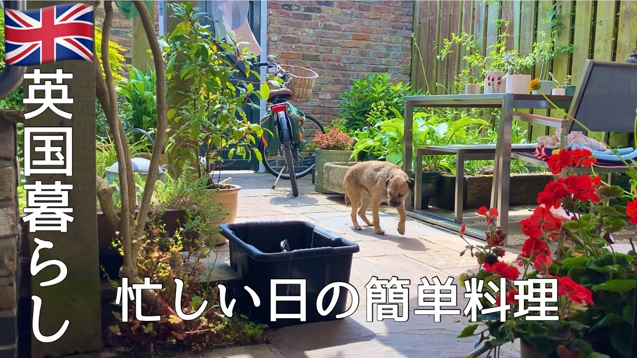 【英国暮らし】忙しい日の簡単料理/茄子のドレッシング炒め/野菜のパスタ/英国小さな街暮らし/夫婦ふたりと犬