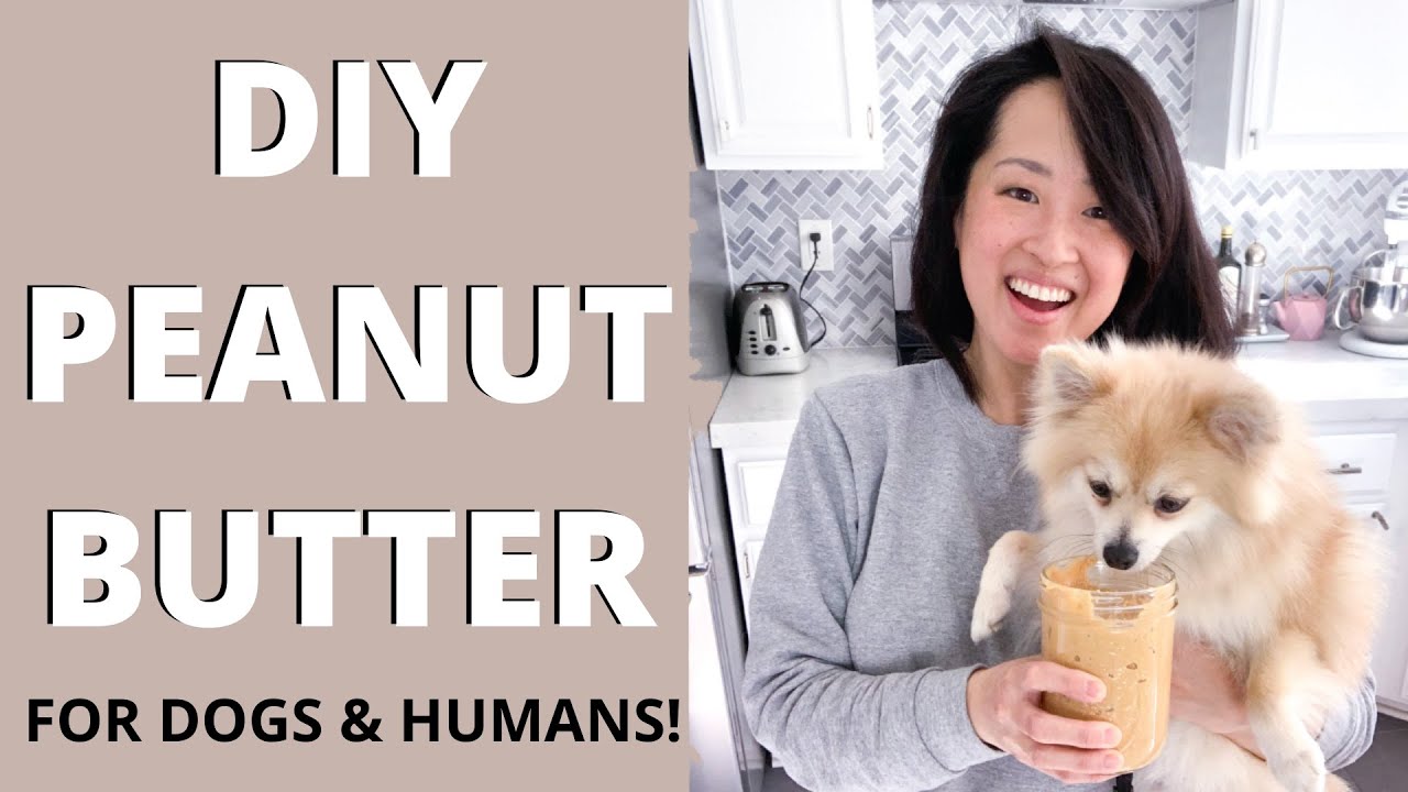 DIY PEANUT BUTTER // Recipe for Dogs & Their Humans! 3 Minute Recipe!