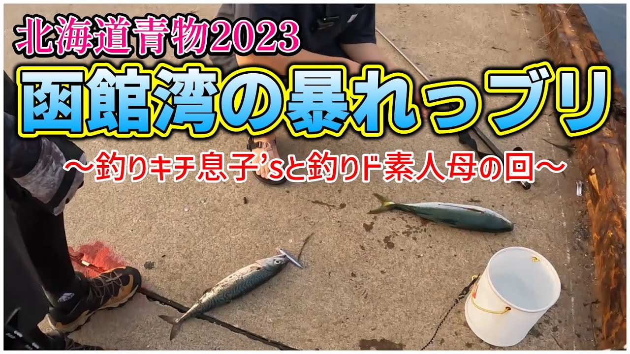 【北海道青物2023】函館：釣りド素人母、釣りキチ息子’sと函ブリを狙う！