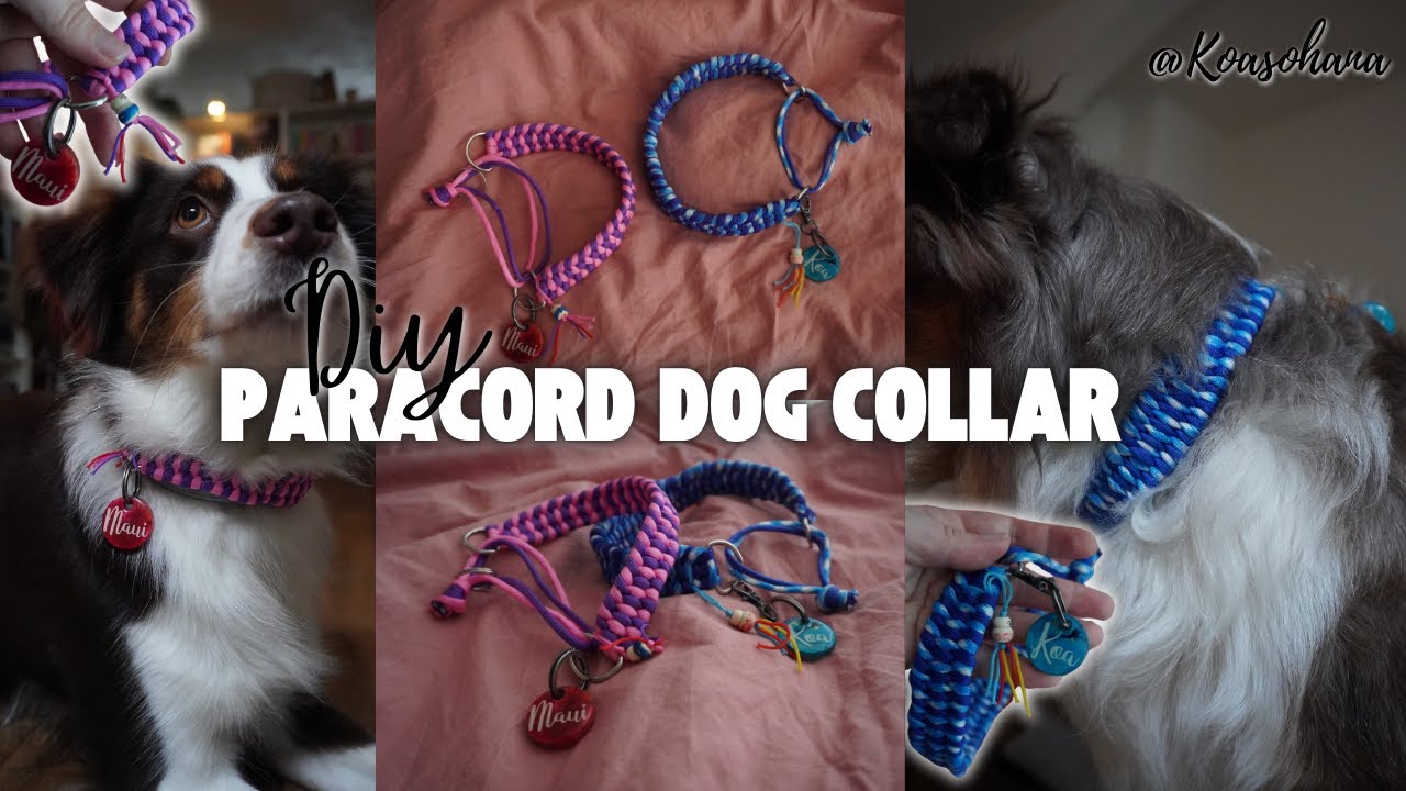 DIY Paracord Martingale Dog Collar - Koa’s Ohana