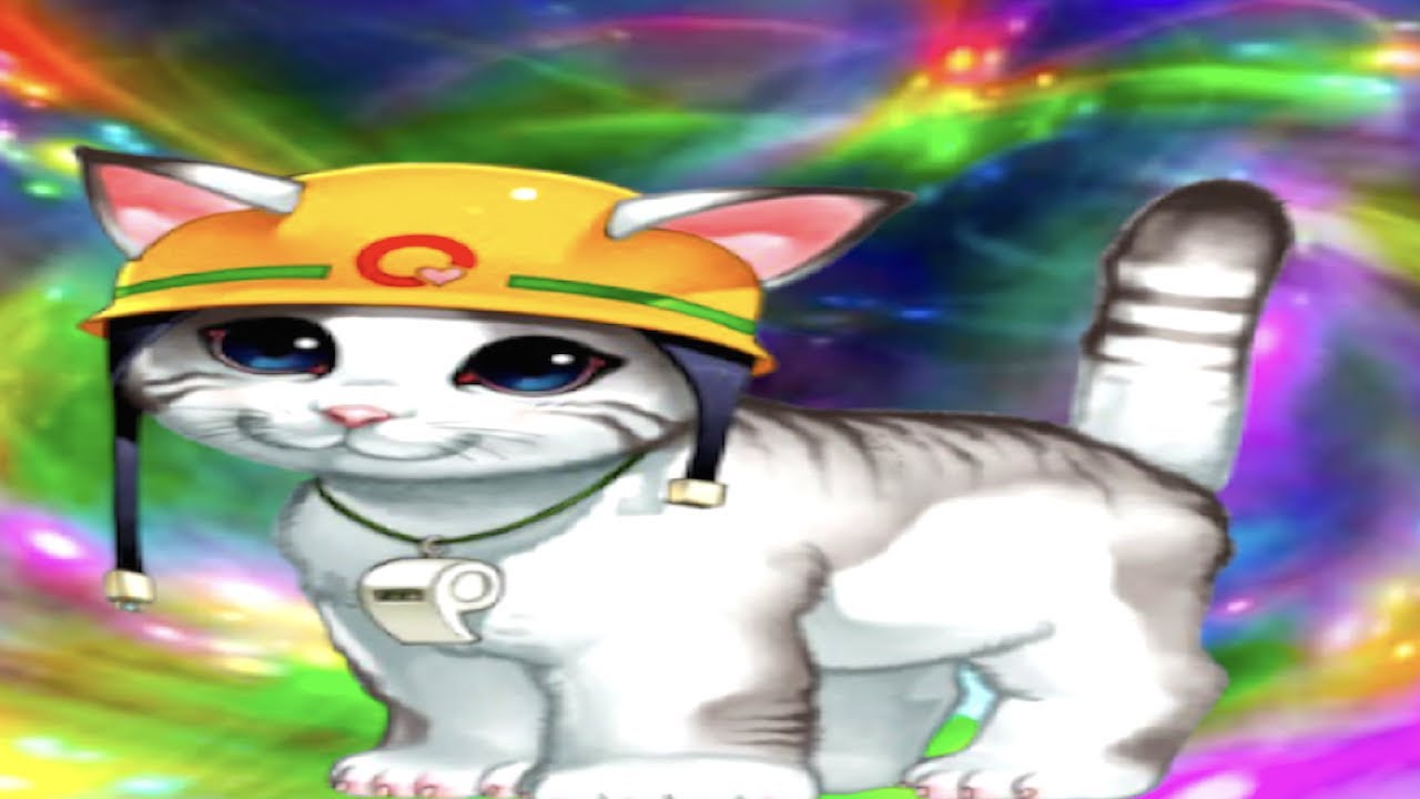 Neo-Spacian Cat - Trying to Test for RBET5 (but sacking instead)