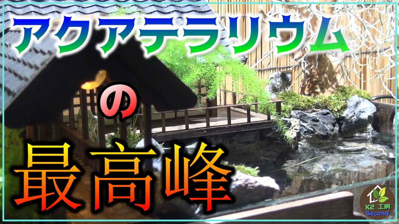 【DIY】メダカが映えるアクアテラリウム制作／Aquaterrarium where medaka shines