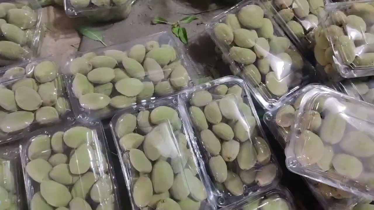 Green Almond #fruit #stonefruit #nature #virelshorts #almond please subscribe 🙏