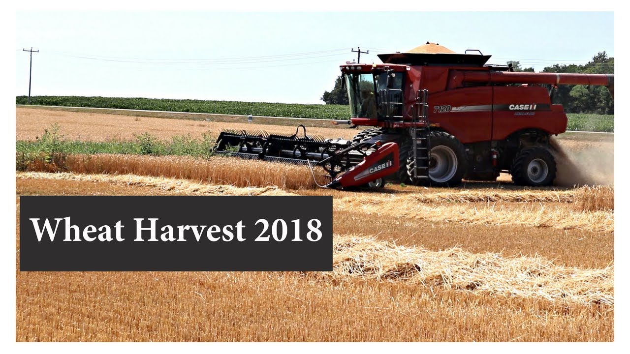 Wheat Harvest 2018:  Vlog 90
