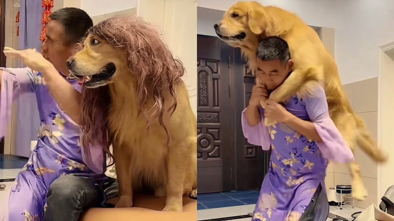 Мао Мао и странная повседневная жизнь дедушки ❤️#聪明旺豆豆