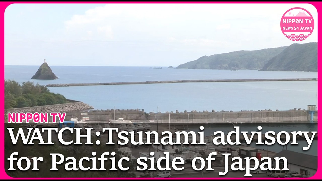 WATCH: Tsunami advisory issued for Pacific side of Japan
