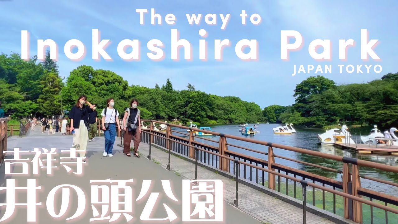 🌿【4K】井の頭公園ぐるっと案内【行き方アクセス|桜の名所|吉祥寺駅】The way to Inokashira Park. JAPAN TOKYO Travel.東京観光