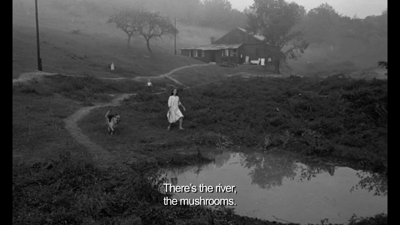 Tarkovsky: Two shots from Nostalghia
