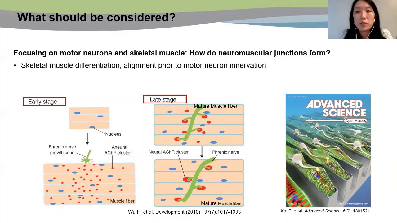 EBICS Virtual Research Symposium - Eunkyung Ko, PhD from Kamm Lab (MIT)
