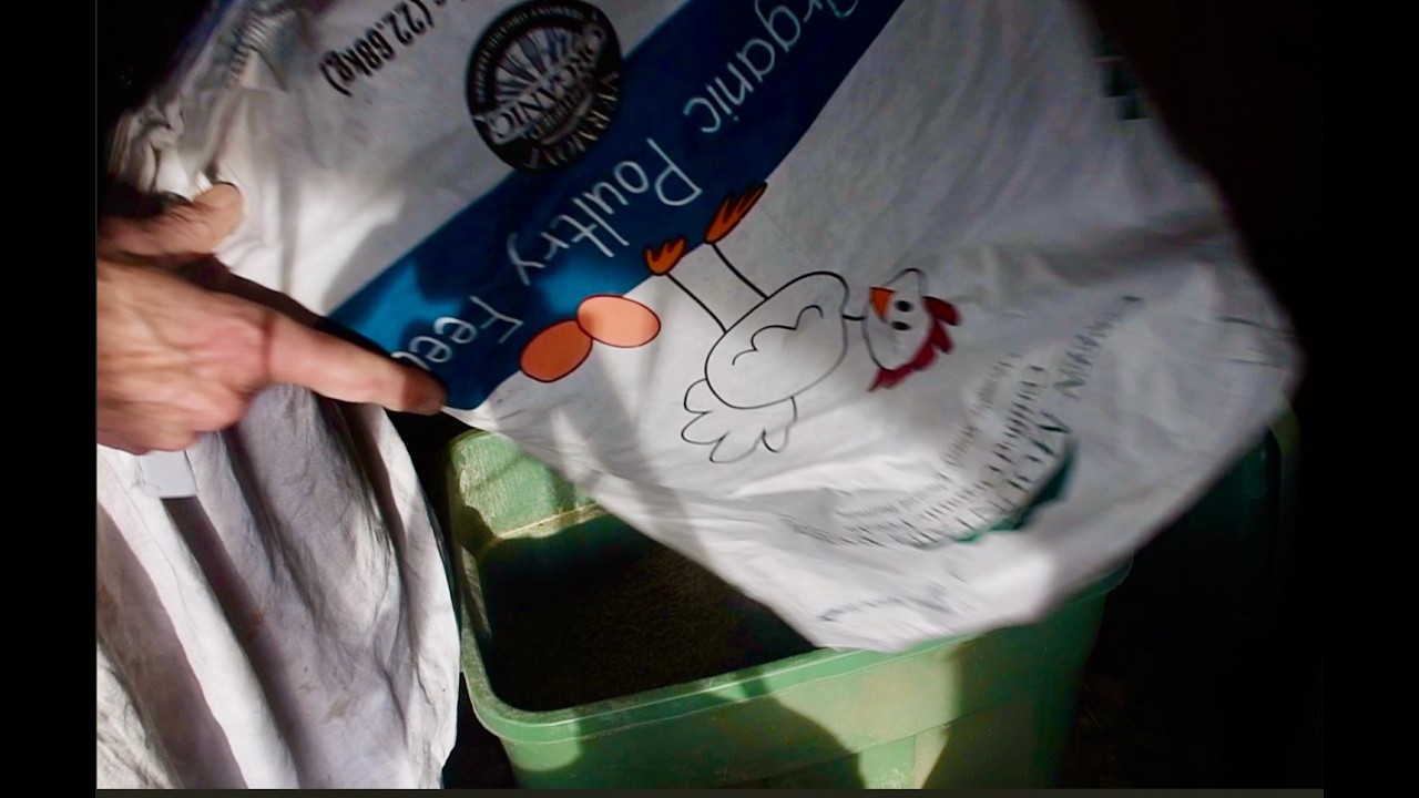 We Feed Our Hens Organic Soy Free Feed