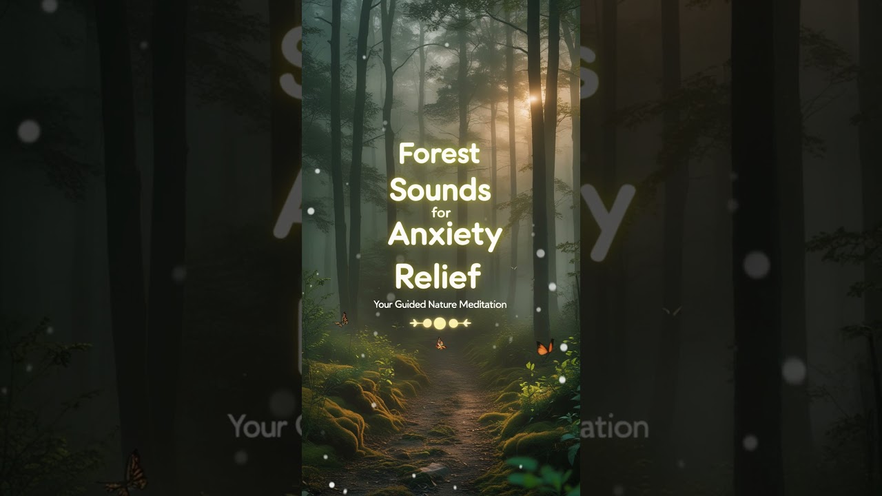 Forest Sounds for Anxiety Relief: Your Guided Nature Meditation
