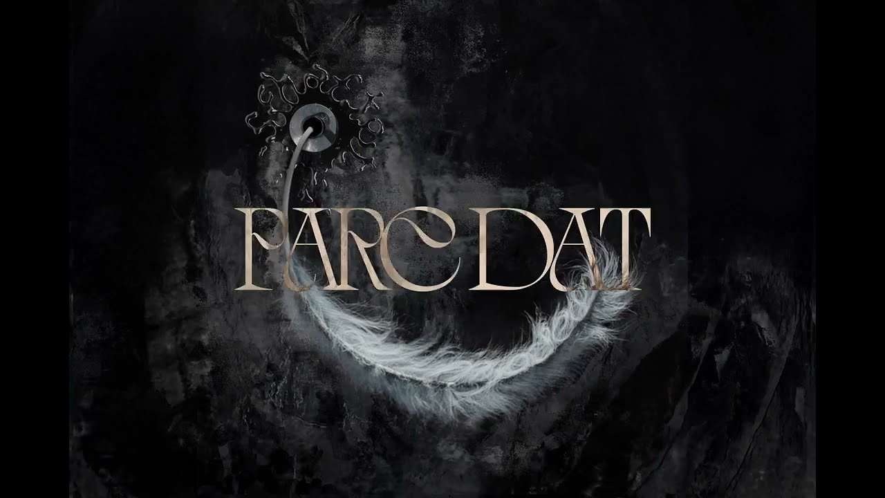 schafter - parę dat