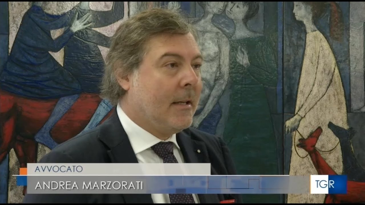 Avv.  Andrea Marzorati - Telegiornale RAI