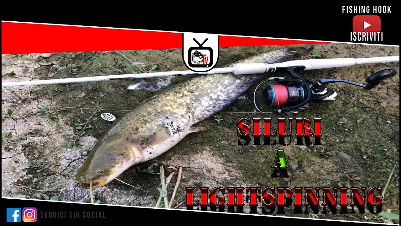 PESCA:  LIGHTSPINNING AL SILURO