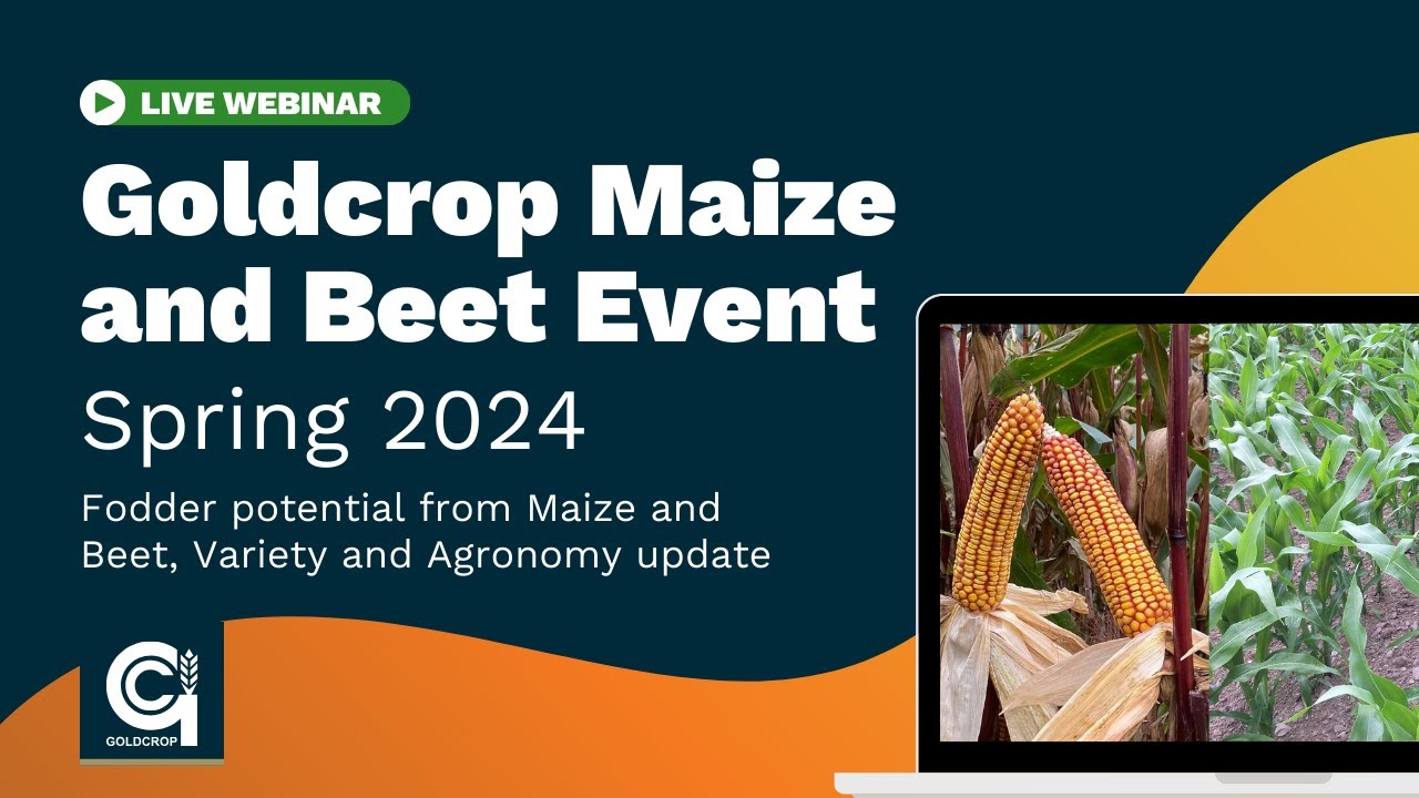 Goldcrop Maize and Beet Event Spring 2024