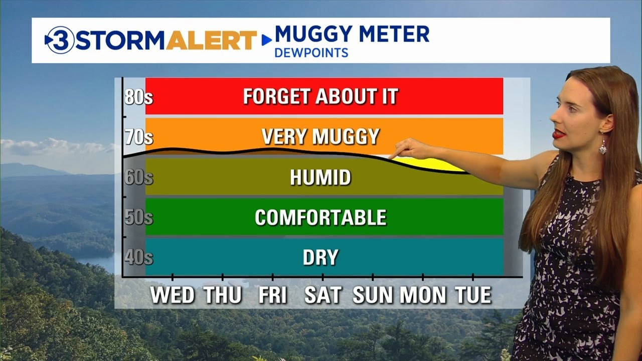 Alison Pryor's Wednesday morning weather