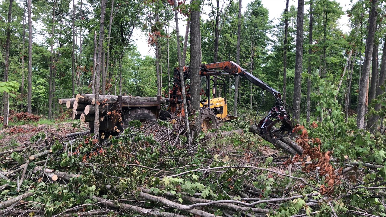 Gafner Iron Mule Forwarder - on the job