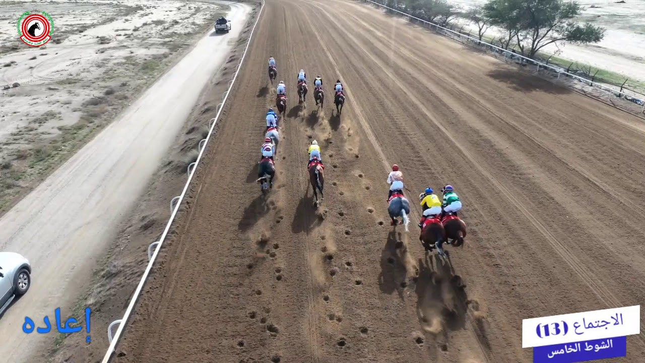 الاجتماع الثالث عشر مضمار الشيخ عبدالله الجابر الصباح 29/1/2026