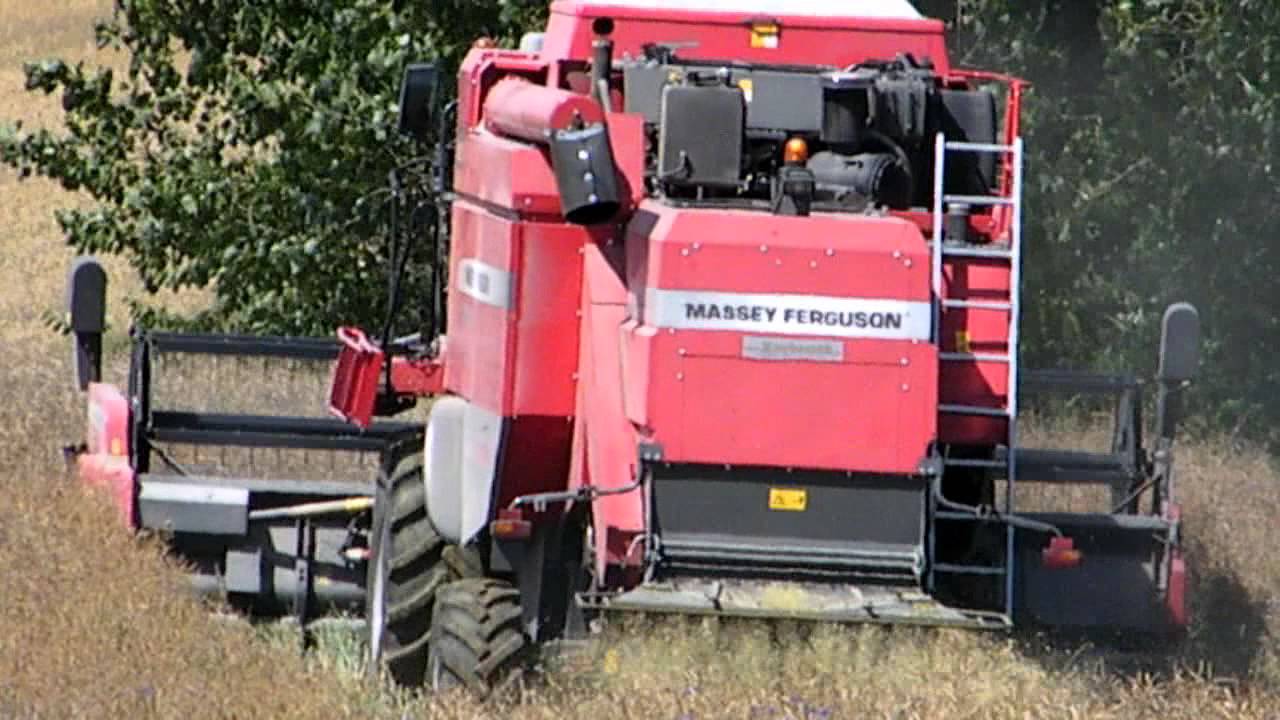 Żniwa 2011-Koszenie Rzepaku 2011 /Harvest Raps 2011- Massey Ferguson Activa 7244