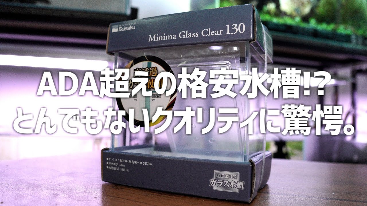 1000円台でADA超えの水槽を見つけてしまった…マクロカメラで細部まで徹底比較！！［手元実演webカメラ］#579【アクアリウム】