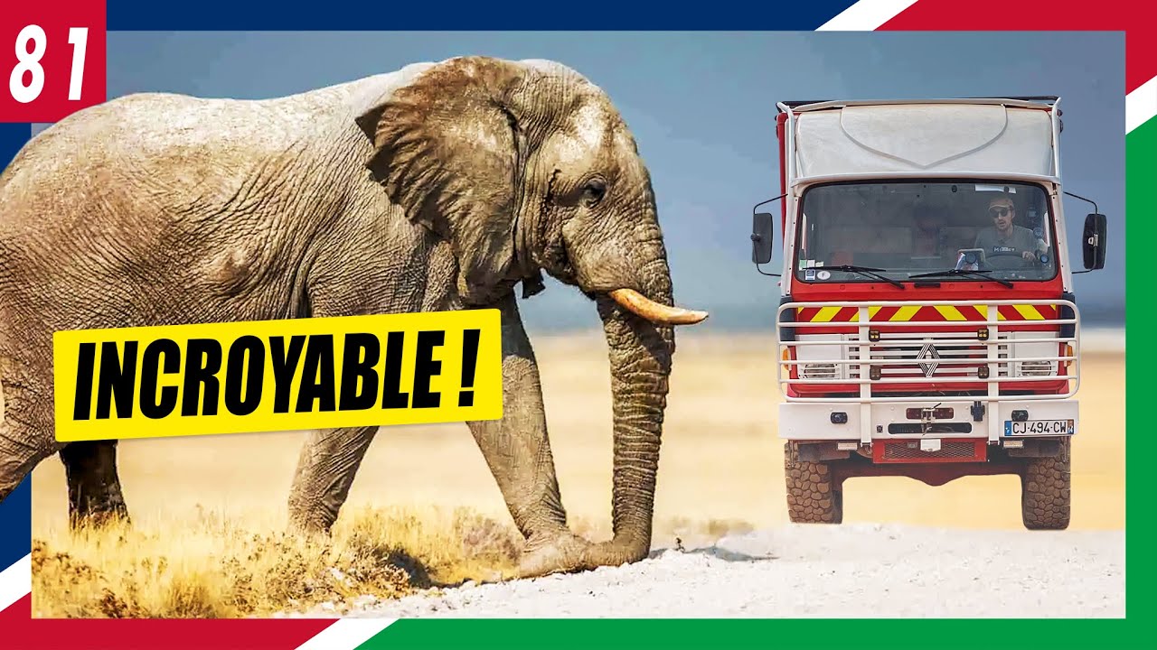 81) Safari inoubliable en camion au Parc National Etosha en Namibie