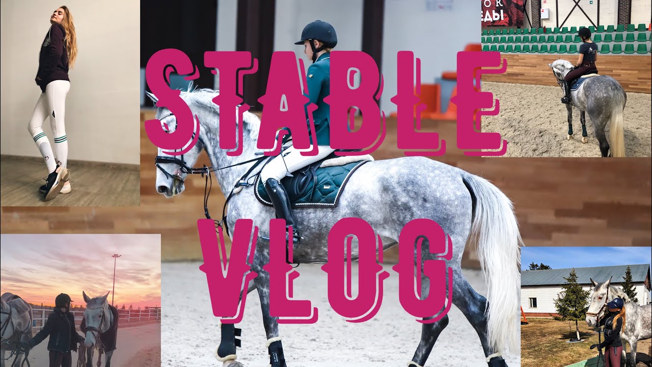 STABLE VLOG|ПОЕЗДКА В MAXIMA STABLE