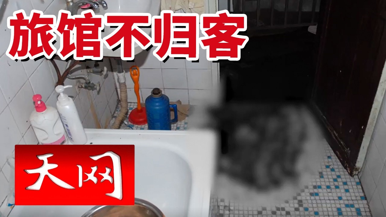 《天网》旅馆老板娘深夜遇害 凶手人间蒸发15年 一枚指纹竟发现了&ldquo;意料之外&rdquo;的人！20260319