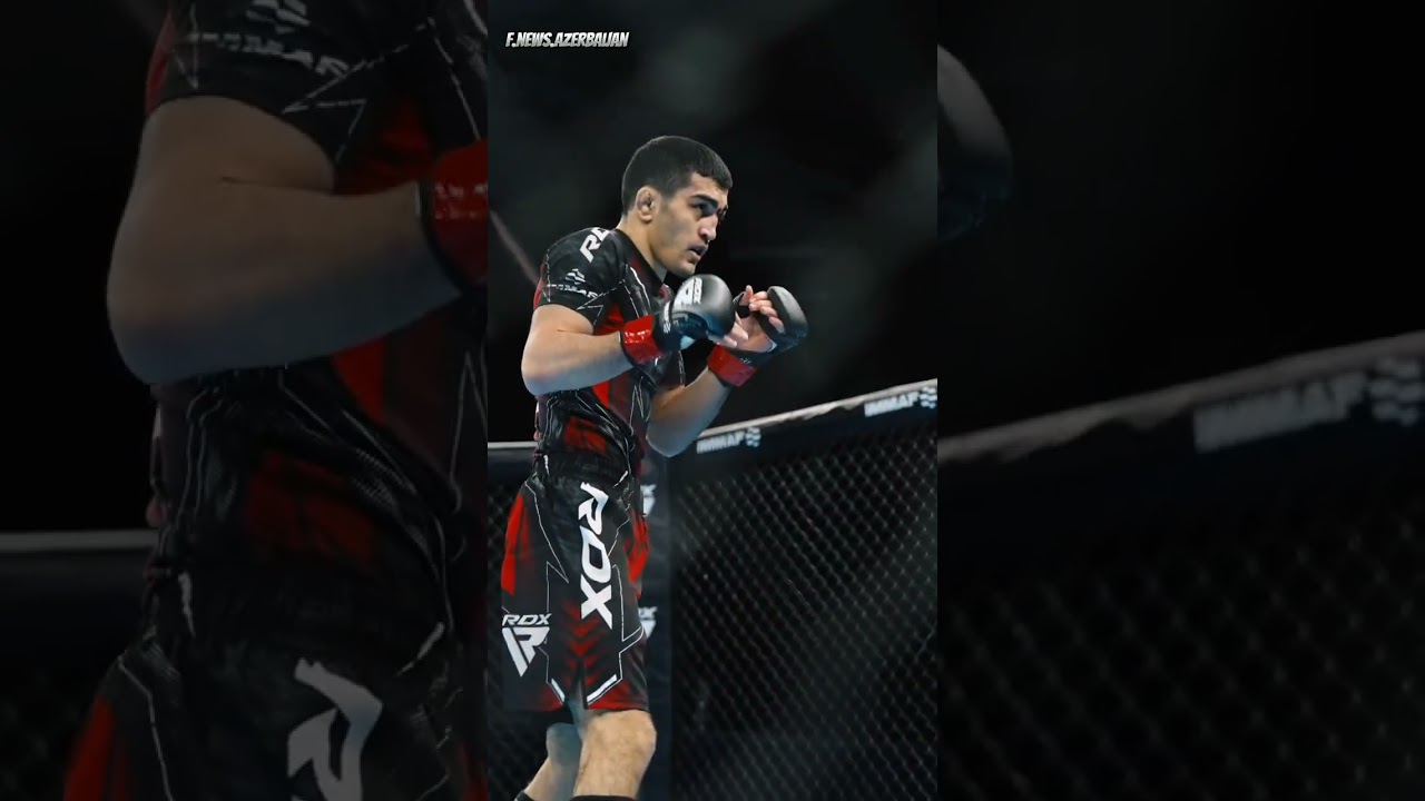 Mahmudov Alakbar Europan champion 🥇#aze #azerbaijan #mma #mmaaze #immaf