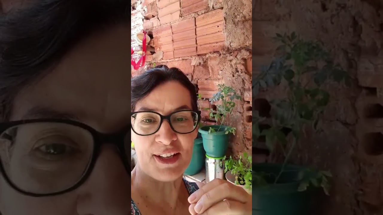 QUAL &Eacute; O SIGNIFICADO DA ARRUDA? #minihorta #liliarosa #shorts #hortaorganica #dicas  #repelente