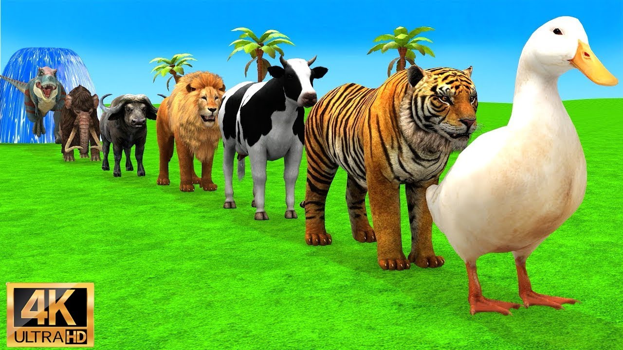 Long Slide Game With Elephant Gorilla Buffalo Hippopotamus Tiger - 3D Animal Game
